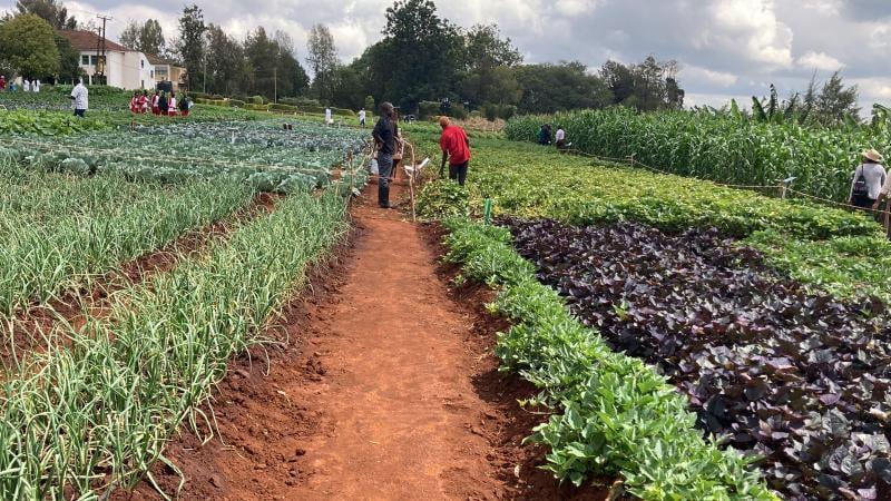 KALRO holds three-day exhibition at Kabete, Kiambu county.